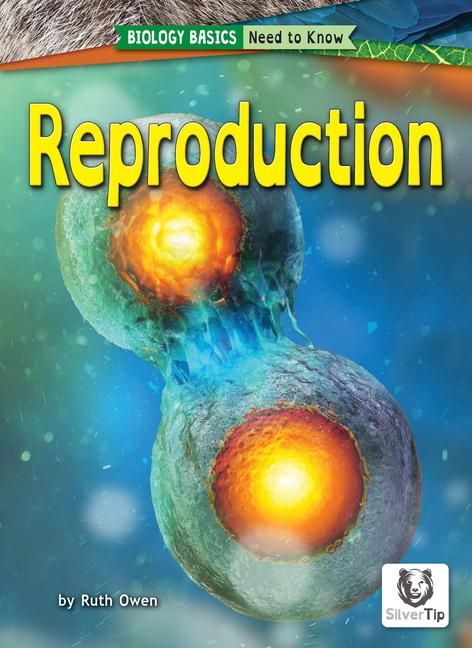 Produktbild: Reproduction
