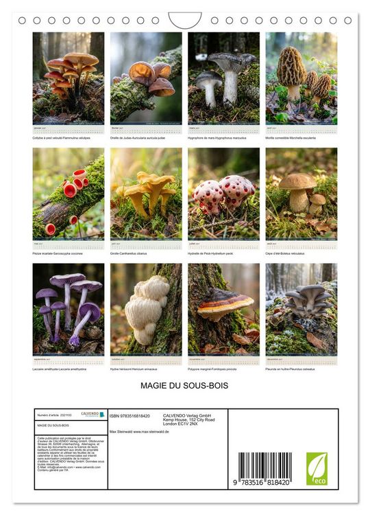 Produktbild: MAGIE DU SOUS-BOIS (Calendrier mural 2027 DIN A4 horizontal), CALVENDO calendrier mensuel