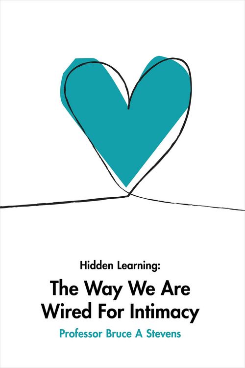 Produktbild: Hidden Learning
