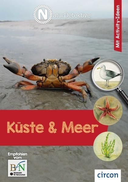 Produktbild: K&uuml;ste und Meer