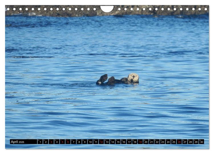Produktbild: Vancouver - Vancouver Island - Seattle (Wandkalender 2026 DIN A4 quer), CALVENDO Monatskalender