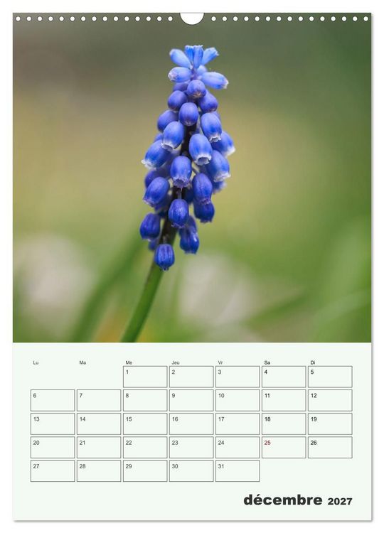 Produktbild: Fleurs en toute simplicit&eacute; - Beaut&eacute; minimaliste (Calendrier mural 2027 DIN A3 horizontal), CALVENDO calendrier mensuel