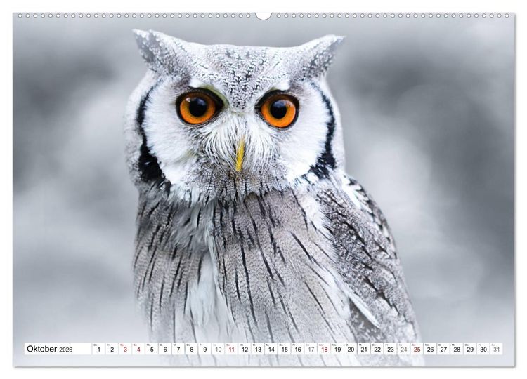 Produktbild: Erfolgreiche J&auml;ger (Wandkalender 2026 DIN A2 quer), CALVENDO Monatskalender