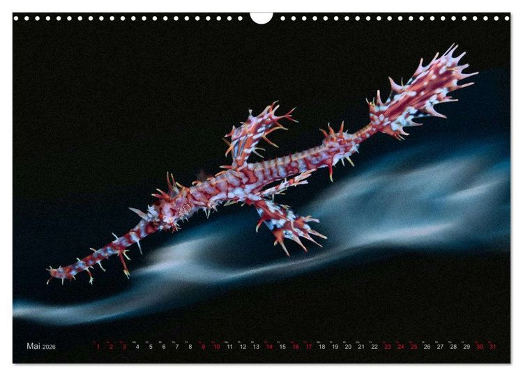 Produktbild: Artwork Unterwasser - Erlebnis Tauchen (Wandkalender 2026 DIN A3 quer), CALVENDO Monatskalender