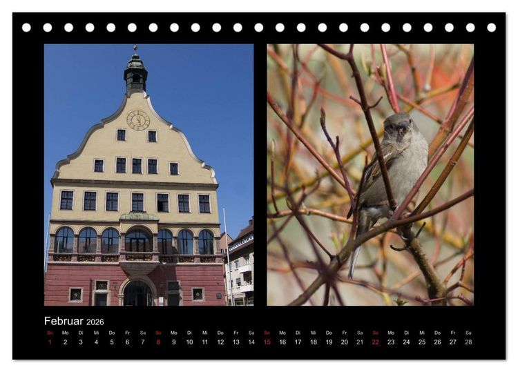 Produktbild: Ulmer Spatzen (Tischkalender 2026 DIN A5 quer), CALVENDO Monatskalender