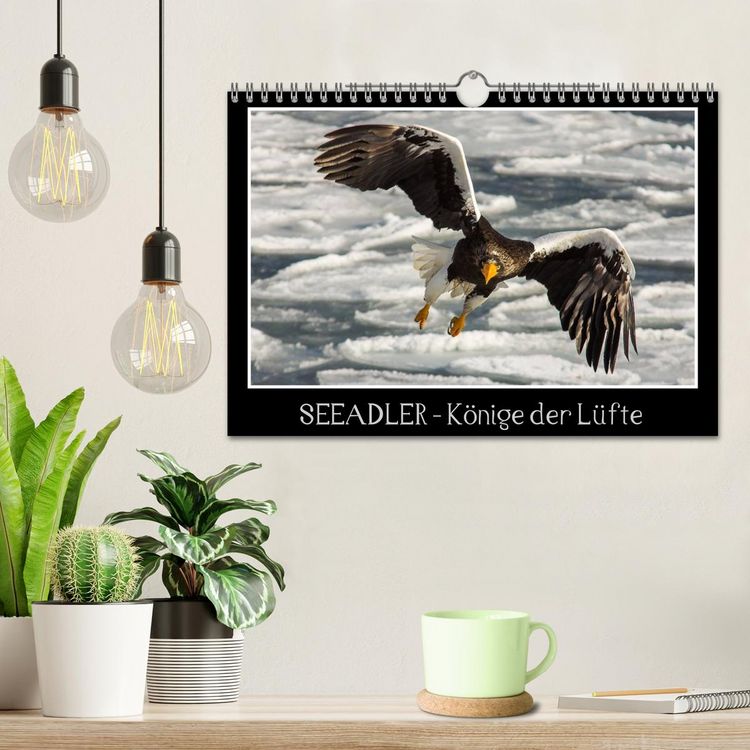 Produktbild: Seeadler - K&ouml;nige der L&uuml;fte (Wandkalender 2026 DIN A4 quer), CALVENDO Monatskalender