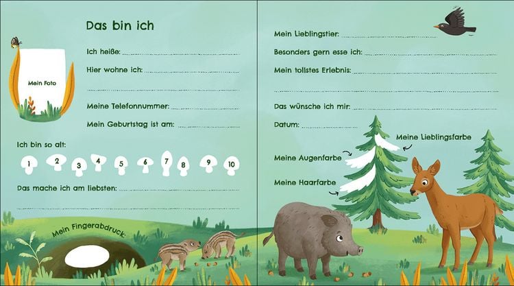 Produktbild: Meine Kindergarten-Freunde (Waldtiere)