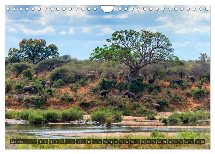 Produktbild: S&uuml;dafrika - Die Landschaft (Wandkalender 2026 DIN A4 quer), CALVENDO Monatskalender