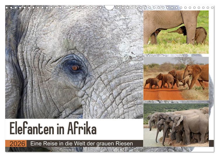 Produktbild: Elefanten in Afrika (Wandkalender 2026 DIN A3 quer), CALVENDO Monatskalender