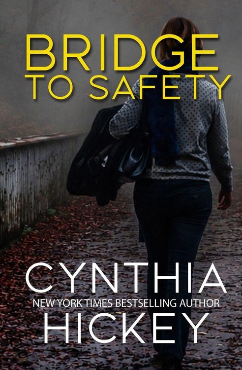 Produktbild: Bridge to Safety