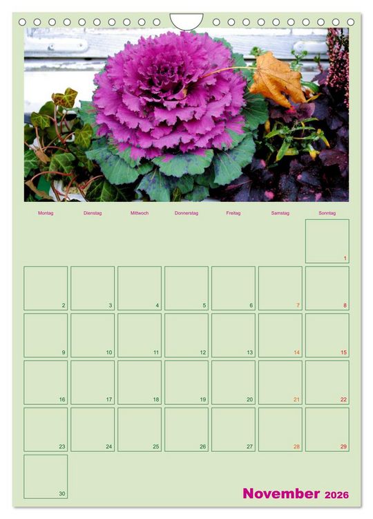 Produktbild: Gartenplaner (Wandkalender 2026 DIN A4 hoch), CALVENDO Monatskalender