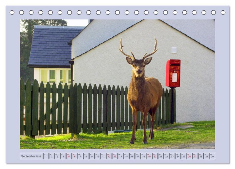 Produktbild: Sie haben Post - Briefk&auml;sten in Schottland (Tischkalender 2026 DIN A5 quer), CALVENDO Monatskalender