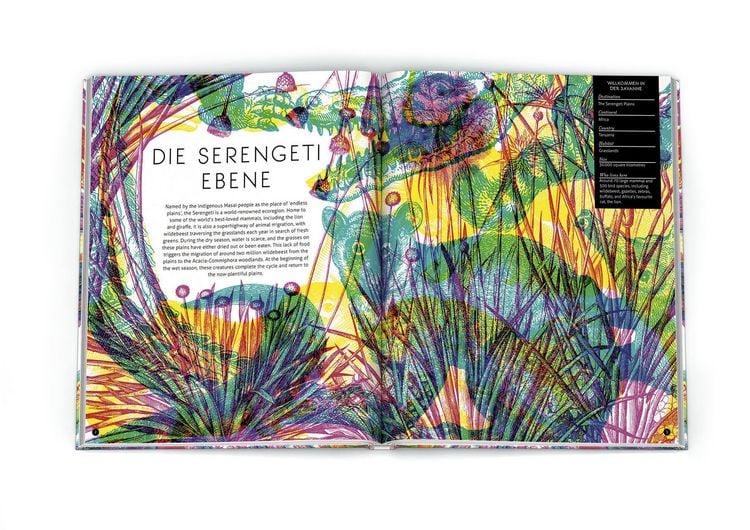 Produktbild: Magische Welten. Entdecke verborgene Lebensr&auml;ume mit der Zauberlupe!