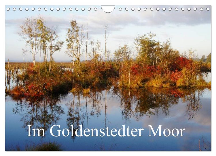 Produktbild: Im Goldenstedter Moor (Wandkalender 2026 DIN A4 quer), CALVENDO Monatskalender