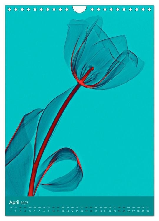 Produktbild: Blossoms between light and colour (Wall Calendar 2027 DIN A4 portrait), CALVENDO 12 Month Wall Calendar