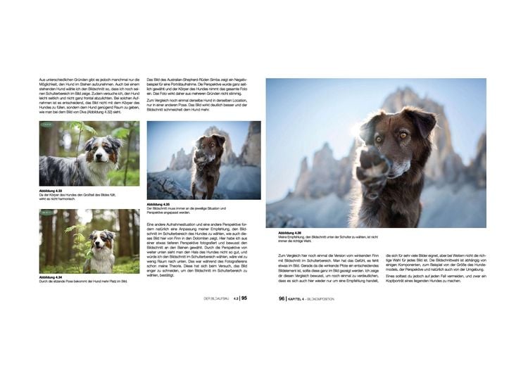 Hundefotografie
