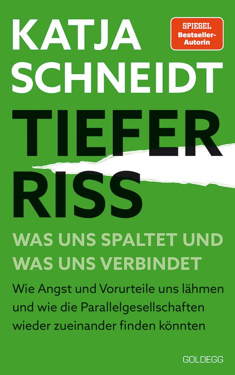 Produktbild: Tiefer Riss - Was uns spaltet und was uns verbindet