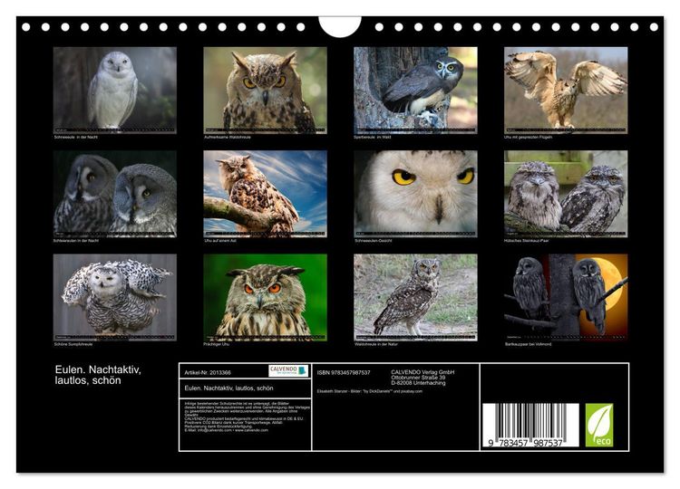 Produktbild: Eulen. Nachtaktiv, lautlos, sch&ouml;n (Wandkalender 2026 DIN A4 quer), CALVENDO Monatskalender
