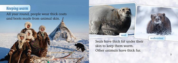 Produktbild: Arctic Life