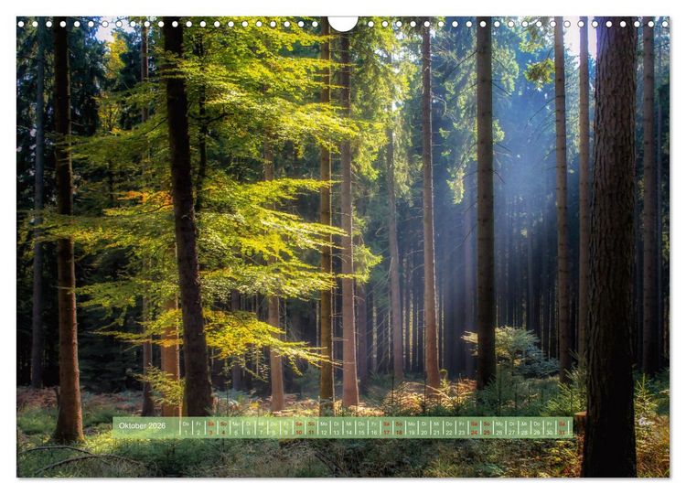 Produktbild: Zauber des Lichts (Wandkalender 2026 DIN A3 quer), CALVENDO Monatskalender