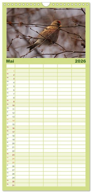 Produktbild: Familienplaner 2026 - Die farbenfrohe Welt der Finken mit 5 Spalten (Wandkalender, 21 x 45 cm) CALVENDO