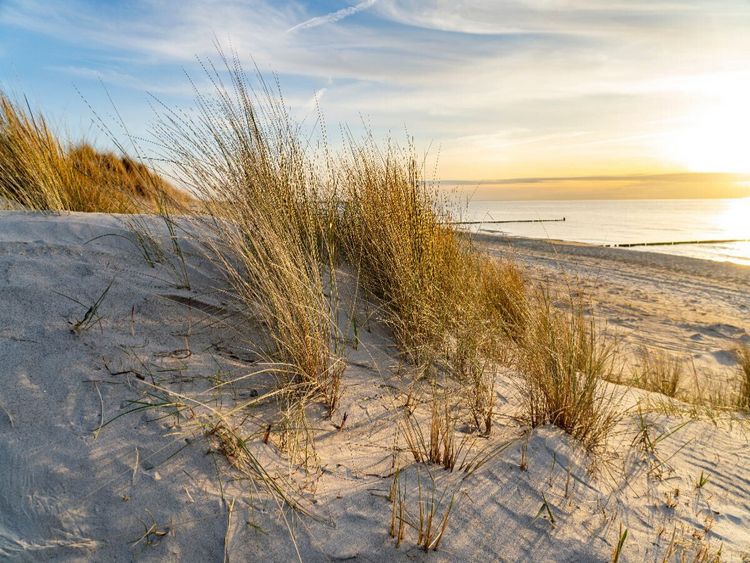 Produktbild: CALVENDO Puzzle Strand bei Wustrow | 1000 Teile Lege-Gr&ouml;&szlig;e 64x48cm Foto-Puzzle f&uuml;r gl&uuml;ckliche Stunden