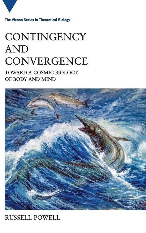 Produktbild: Contingency and Convergence