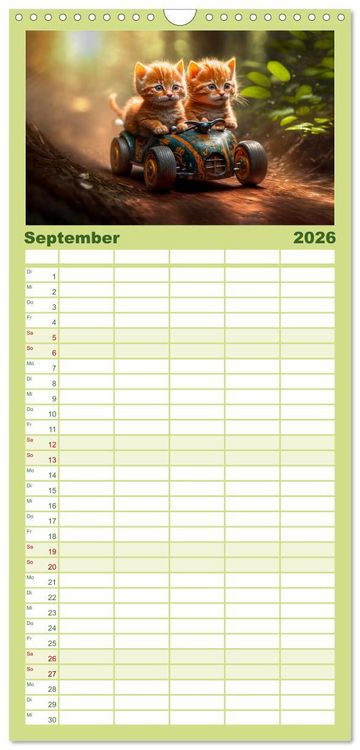 Produktbild: Familienplaner 2026 - Katzen Freunde mit 5 Spalten (Wandkalender, 21 x 45 cm) CALVENDO