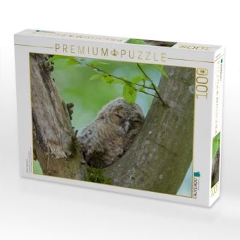 Produktbild: CALVENDO Puzzle M&uuml;der Tagtr&auml;umer | 1000 Teile Lege-Gr&ouml;&szlig;e 64x48cm Foto-Puzzle f&uuml;r gl&uuml;ckliche Stunden