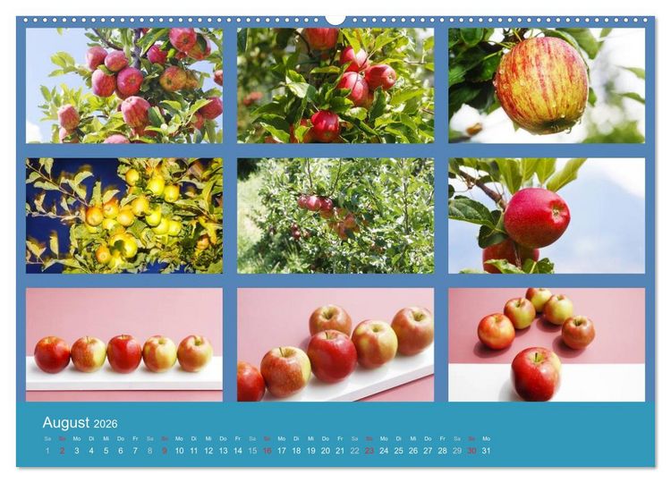 Produktbild: Food (Wandkalender 2026 DIN A2 quer), CALVENDO Monatskalender