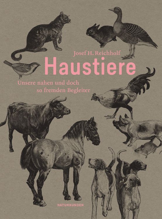 Produktbild: Haustiere