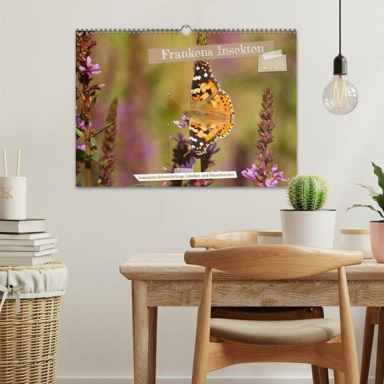 Produktbild: Frankens Insekten (Wandkalender 2026 DIN A3 quer), CALVENDO Monatskalender