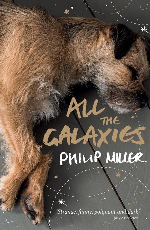Produktbild: All the Galaxies