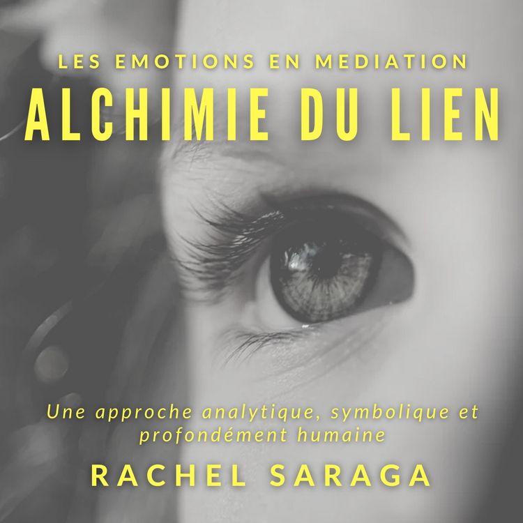 Produktbild: Les &eacute;motions en m&eacute;diation