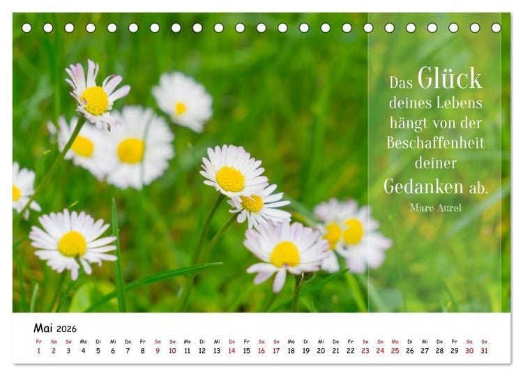 Produktbild: Lebensweisheiten, motivierende Spr&uuml;che und kluge Zitate mit Bildern der Natur (Tischkalender 2026 DIN A5 quer), CALVENDO Monatskalender
