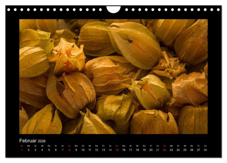 Produktbild: essbar &ndash; Buntes Obst und Gem&uuml;se (Wandkalender 2026 DIN A4 quer), CALVENDO Monatskalender