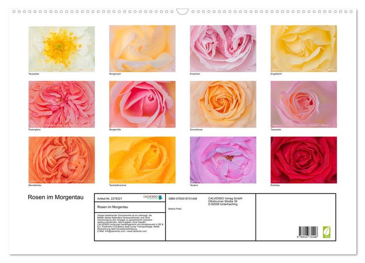 Produktbild: Rosen im Morgentau (Wandkalender 2026 DIN A2 quer), CALVENDO Monatskalender