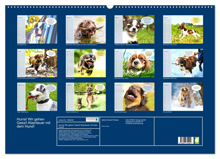 Produktbild: Hurra! Wir gehen Gassi! Abenteuer mit dem Hund! (Wandkalender 2026 DIN A2 quer), CALVENDO Monatskalender