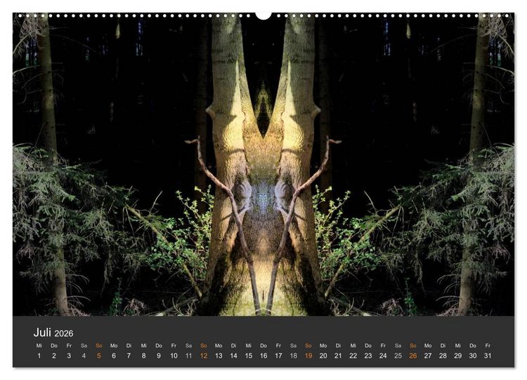 Produktbild: Spiegelwelten - Im Reich der Naturwesen (hochwertiger Premium Wandkalender 2026 DIN A2 quer), Kunstdruck in Hochglanz