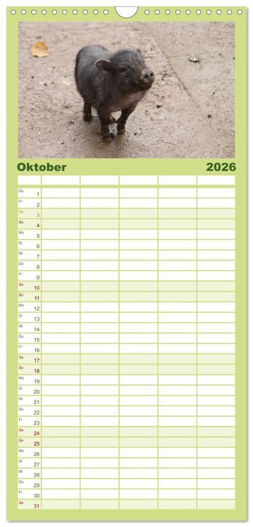 Produktbild: Familienplaner 2026 - Schwein gehabt! mit 5 Spalten (Wandkalender, 21 x 45 cm) CALVENDO