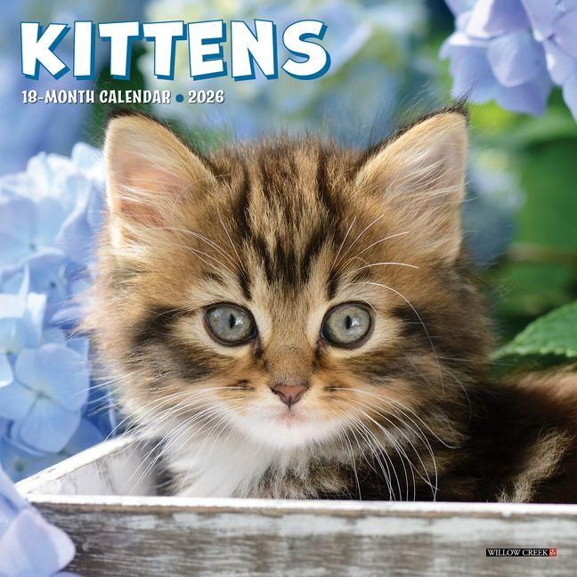 Produktbild: Kittens 2026 Mini Wall Calendar