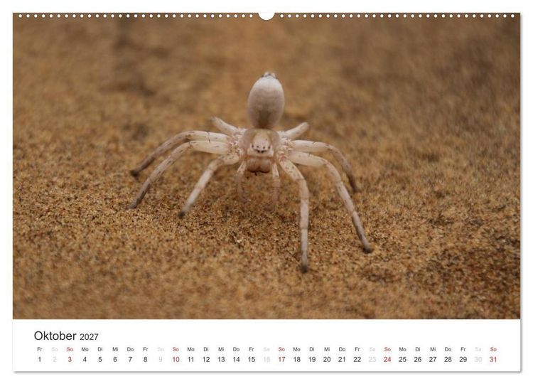 Produktbild: Namibia - Tierische Vielfalt (Wandkalender 2027 DIN A2 quer), CALVENDO Monatskalender