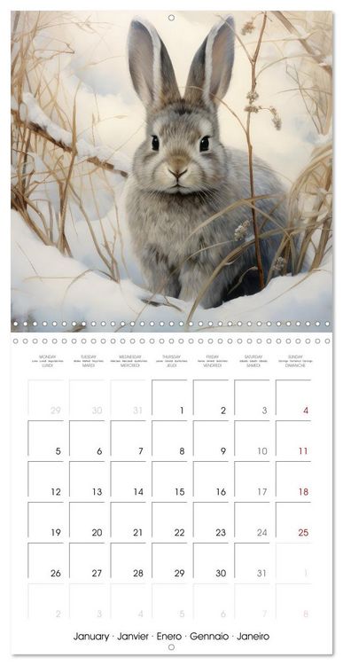 Produktbild: Des amours de lapins (Calendrier mural carr&eacute; 2026 30x30 cm) Calendrier double avec une page pour vos prises de notes