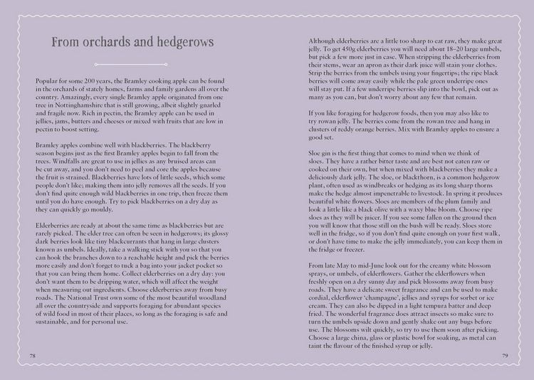 Produktbild: The National Trust Book of Jam