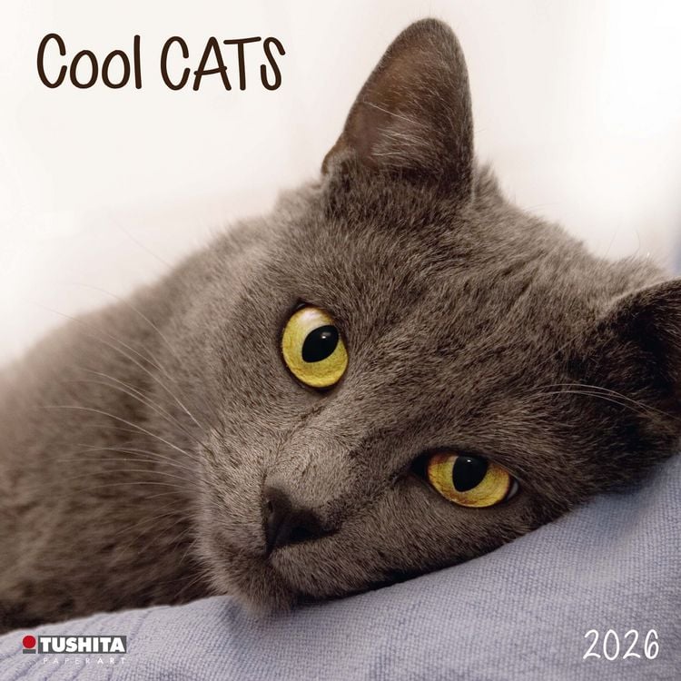 Produktbild: Cool Cats 2026