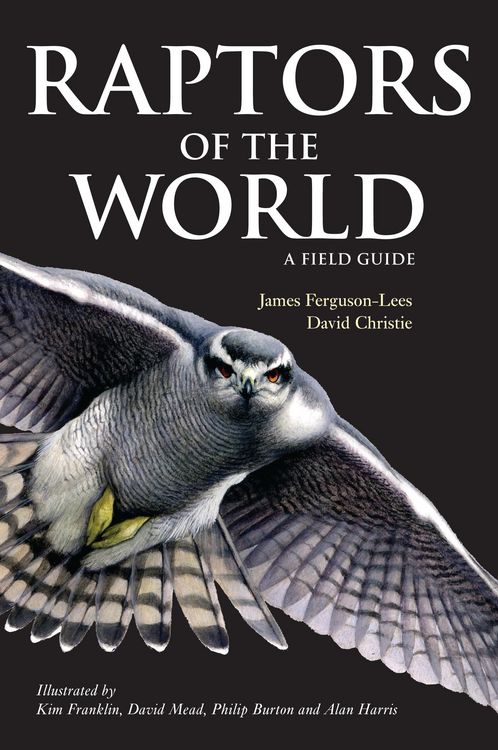Produktbild: Raptors of the World: A Field Guide