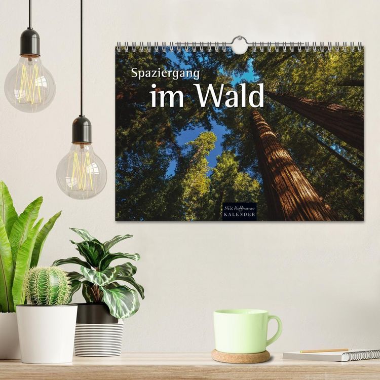 Produktbild: Spaziergang im Wald (Wandkalender 2027 DIN A4 quer), CALVENDO Monatskalender