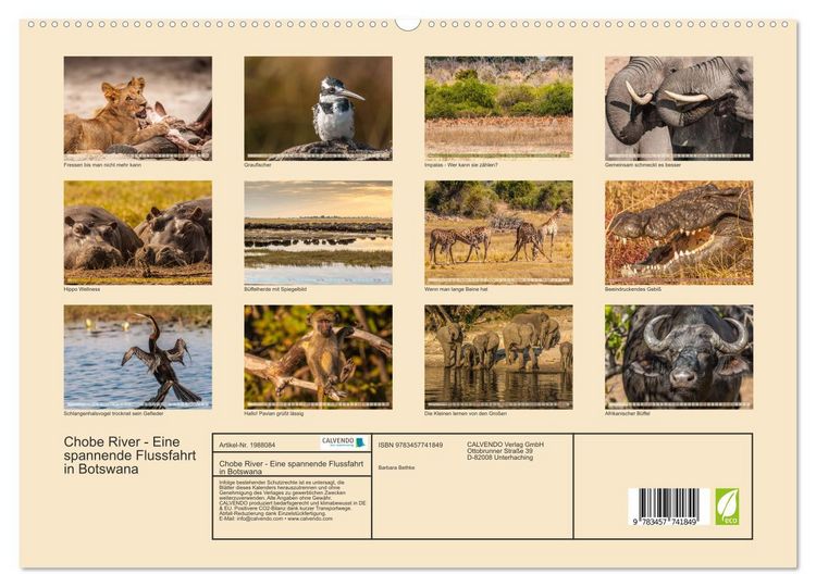 Produktbild: Chobe River - Eine spannende Flussfahrt in Botswana (hochwertiger Premium Wandkalender 2026 DIN A2 quer), Kunstdruck in Hochglanz