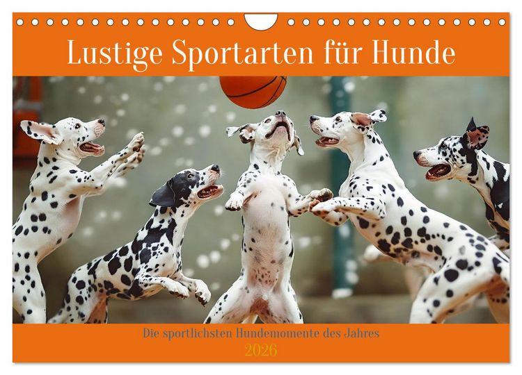 Produktbild: Lustige Sportarten f&uuml;r Hunde (Wandkalender 2026 DIN A4 quer), CALVENDO Monatskalender