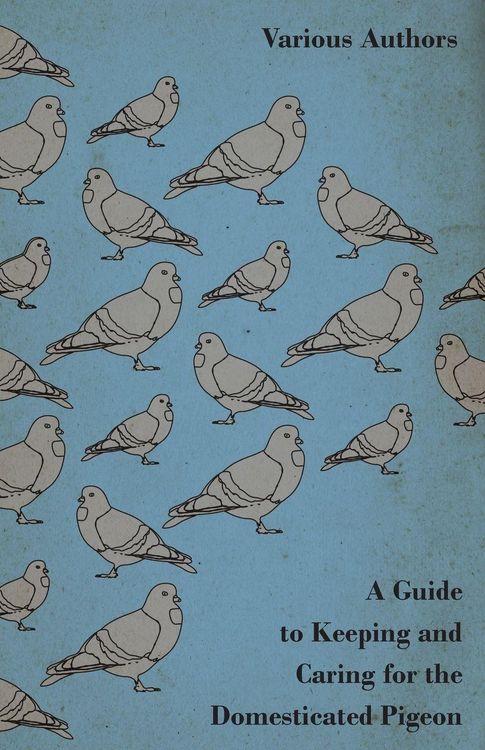 Produktbild: A Guide to Keeping and Caring for the Domesticated Pigeon